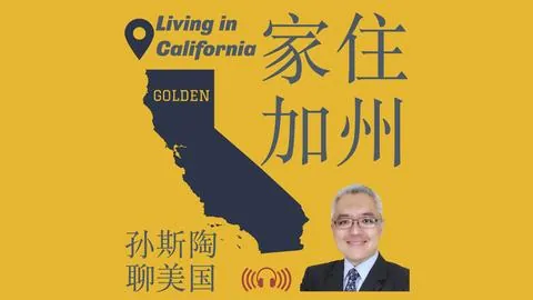 夏日泳池青春涌动，中学校园泳赛激情启幕。