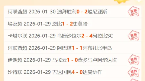 许永凯携手金羽佳首度夺冠，展望马来西亚公开赛明年再创佳绩