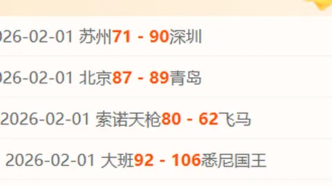 华盛顿主场大胜，独行侠与浓眉哥齐发威